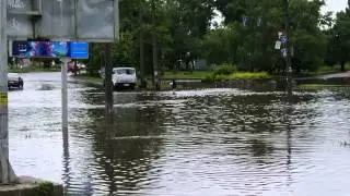 Черкассы. Район самолета. После дождя. 27.06.15.