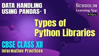 Types to Python Libraries Class 12 CBSE | Library / Module in Python Hindi | INFORMATION PRACTICES