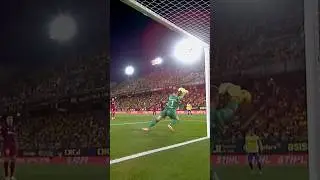 AMAZING TER STEGEN 😳