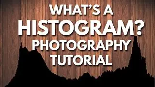 How To Read A Histogram | Photography Tutorial