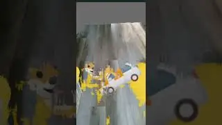 собака сыр собака машина лабрадор телефон комарик кораблик