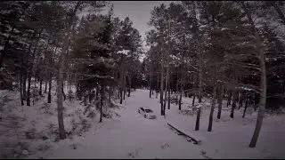 Белоснежный Passat CC
