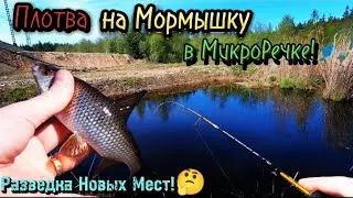 Плотва на Мормышку в Микроречке🎣 Разведка Новых Мест!🤔