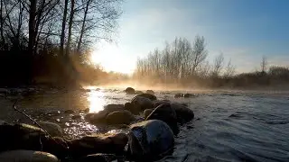 Enchanting Misty Morning Of Lake View