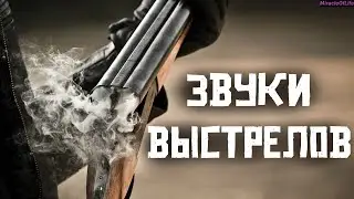 ЗВУК ДРОБОВИКА !!! 30 минут улетного веселья !!! СОЧНЫЕ ЗВУКИ ВЫСТРЕЛОВ !!!