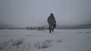 Весна, март, вышел в лес