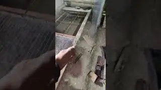 #цыплята
