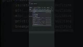 User Input in Python MADE SIMPLE! 🐍