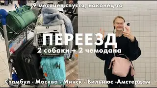 46. ПЕРЕЕЗД С СОБАКОЙ (двумя) часть 1 | Karolina K