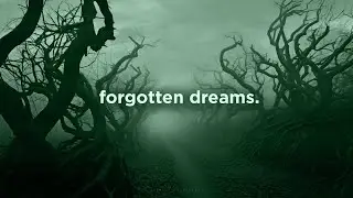 forgotten dreams. (slowed playlist)