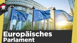 Europäisches Parlament einfach erklärt- Aufgaben, Zusammensetzung und die Wahl - Zusammenfassung!