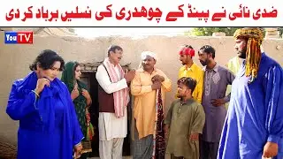Noor Nazeer Zidi Naai Or Chohdhri Short Story Comedy Funny Video | Short Love Story | You Tv HD 2024