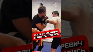 ЕМЕЛЯ ЗАРУБИЛСЯ С ЙЕТИ 