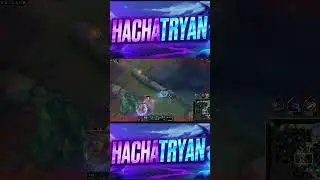Опасный культурный кот 