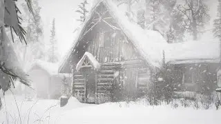 Intense Snow Storm | NO ADS | Howling Wind Sounds For Sleeping