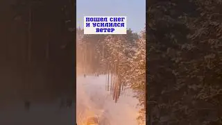 Циклон Ольга надвигается на Урал