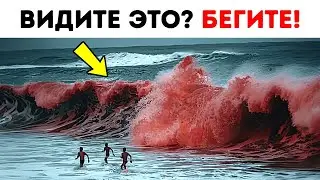 ❌ Красные водоросли опасны для нас 🌊