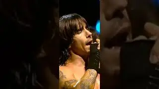One of the best RHCP shows ever