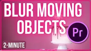 Premiere Pro  How to Blur Moving Objects Fast Tutorial 