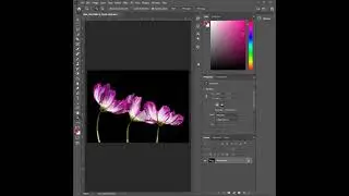 Photoshop | Belirli Alanın Rengini Değiştirme