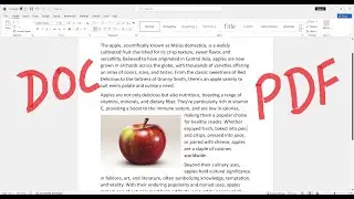 Doc to PDF Convert