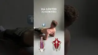 Качаем спину