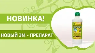 Защити рассаду натуральным средством, обойдемся без химии! Как можно примененить Эм препарат.