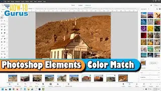 Photoshop Elements 2024 Color Match - My Favorite Trick!