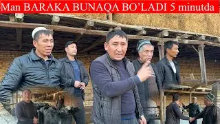 Mana SILAGA BARAKA 5:minutda BARAKA SARDOR AKA YONDIRVORDI 🐂🐂🤝🤝