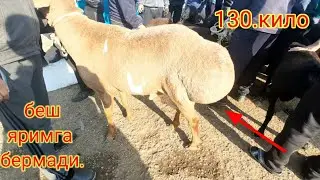 Bòstonliq tumani платина куй бозори нархлари.