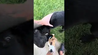 Я даже не знаю кого снимать😂, все в трусах 🙈