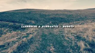 Landhouse & Raddantze - Robots