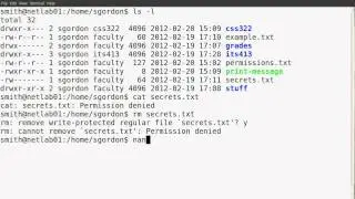 Basic Linux permissions part 2: Examples