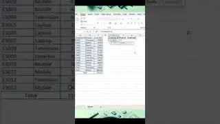 How to use Filter function of Microsoft Excel 