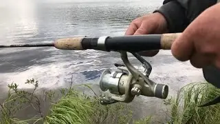 Какая рыба водится в предгорье озер Полярного Урала? Северный колорит