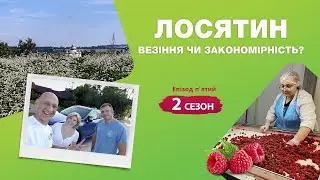 Лосятин: везіння чи закономірність? | Проект «ВеСело» Другий сезон Епізод Пятий