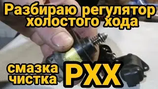 Разбираю Регулятор холостого хода. Смазка, чистка РХХ. Как вытыщить и вставить шток РХХ