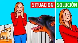50 Consejos de supervivencia cuando 1 segundo lo decide todo