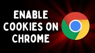 How to Enable Cookies on Google Chrome