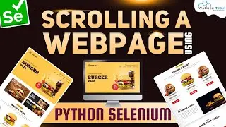 Python Selenium Tutorial 2023: How to Scroll a Web Page in Selenium - English