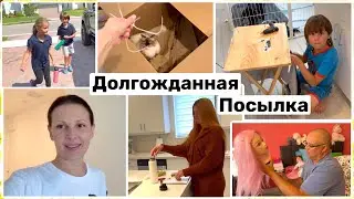 Долгожданная Посылка 📦 Реакция Семейный Влог Большая семья Big big family in the USA VLOG