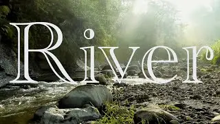 The River You Can Watch Forever Without Stopping 4K