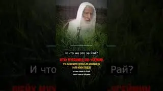 Шейх Мухаммад аль-Усеймин.История ибн Теймии