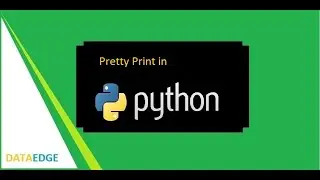 Pretty Print in Python || DataEdge Systems Inc