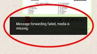 How to fix Message forwarding failed media is missing in Whatsapp