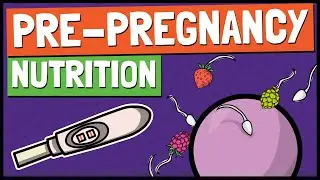 Pre-Pregnancy Nutrition: The Benefits of Plant-Based Diets for Pregnancy