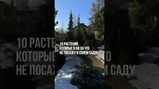 10 растений, которые я точно не посажу в своем саду!