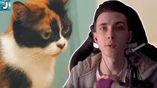 JesusAVGN смотрит: ЧТО СЛУЧИЛОСЬ С ЦЫПЛЯТАМИ?