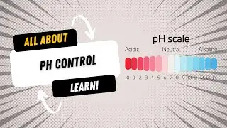 pH Control