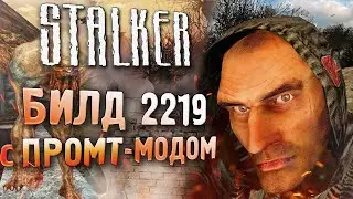 Играем в ПРОМТ-мод на БИЛД 2219 | S.T.A.L.K.E.R.